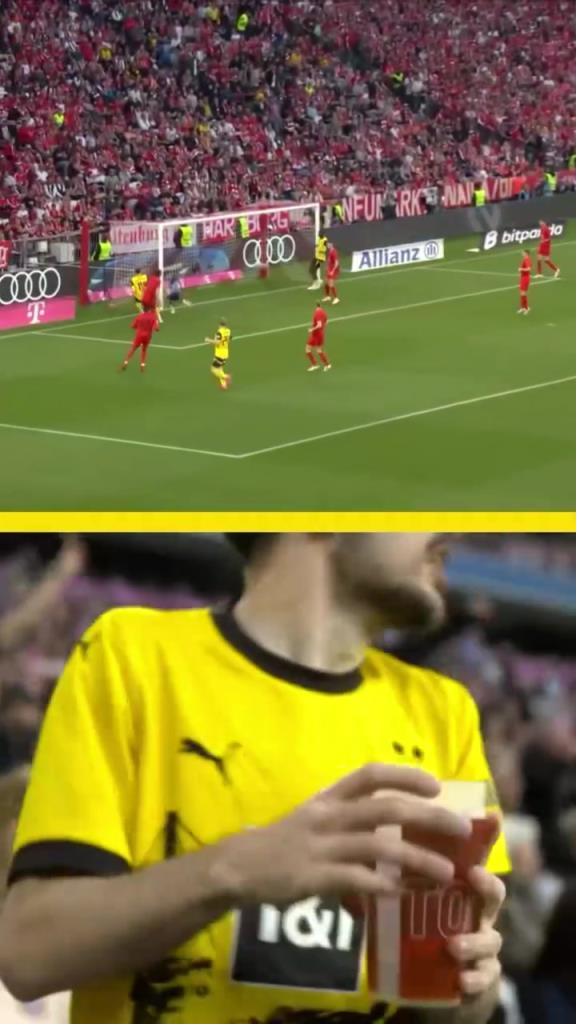 勇者無(wú)懼！這是真多特球迷！在拜仁球迷區(qū)一個(gè)人肆意慶祝！